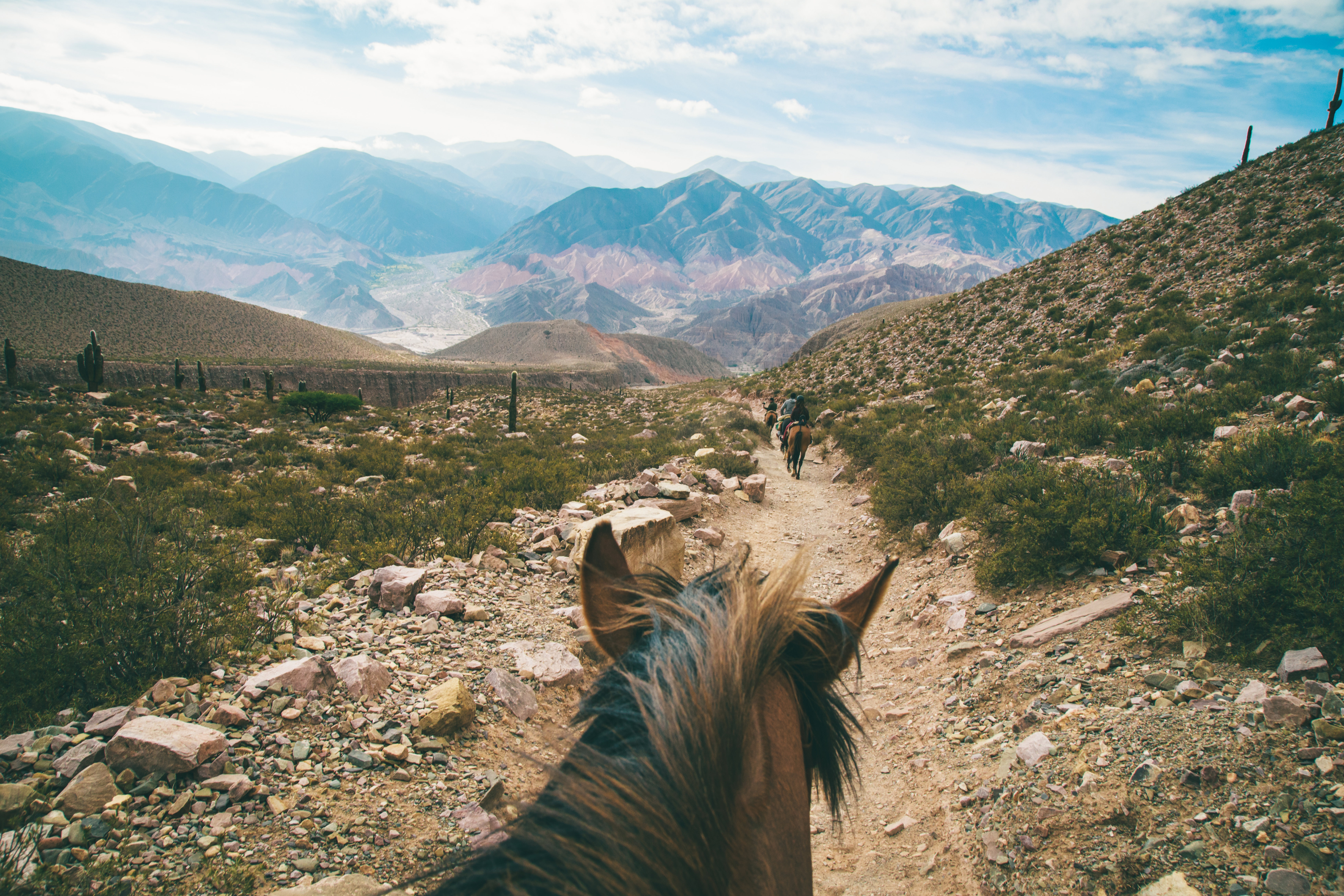 Horseback_Riding.jpg
