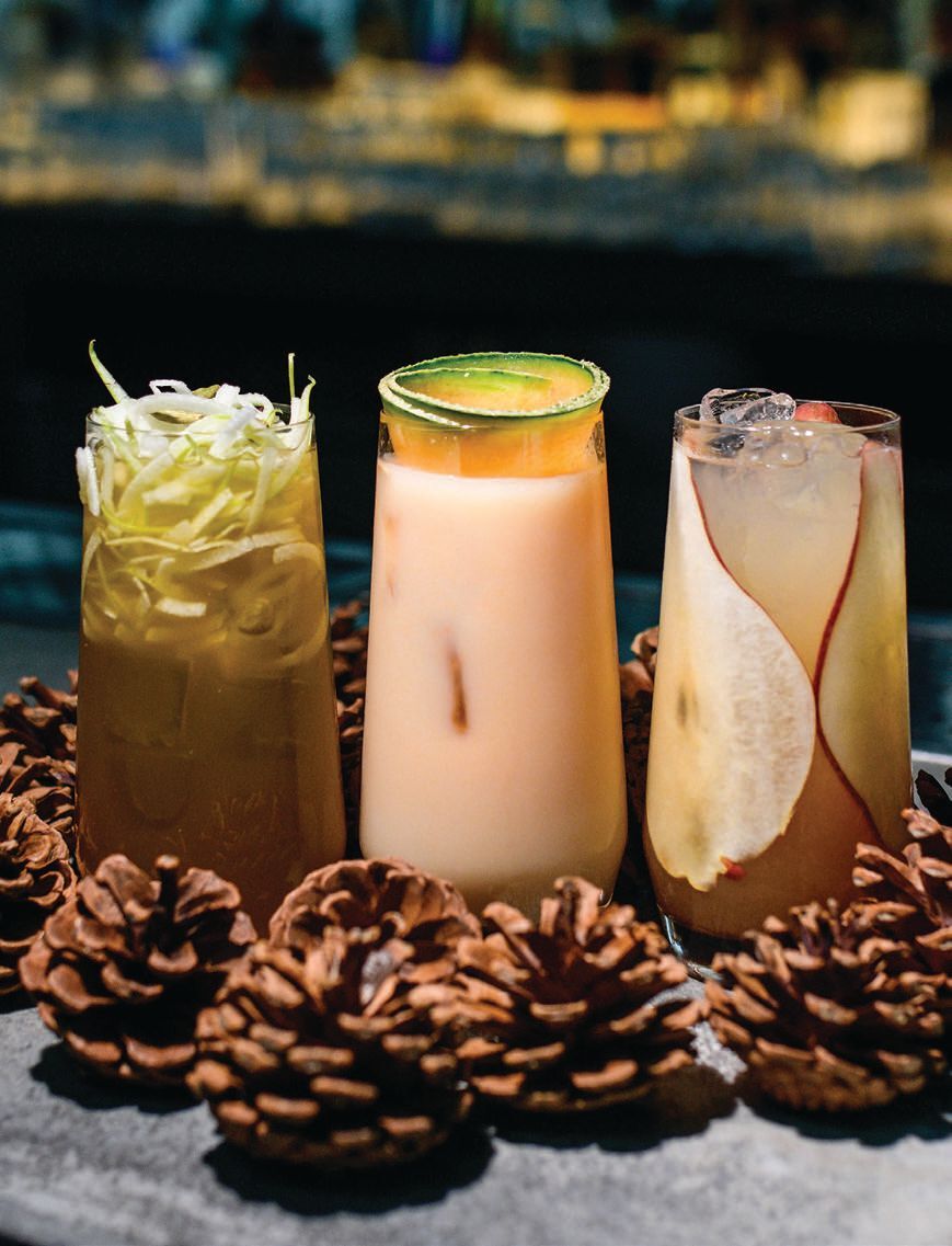 Look for exceptional sips at Dirty Habit, located in Hotel Monaco—the bar’s interior is sleek, and when the weather gets warmer, grab a seat in the outdoor lounge area. PHOTO: COURTESY OF DIRTY HABIT
