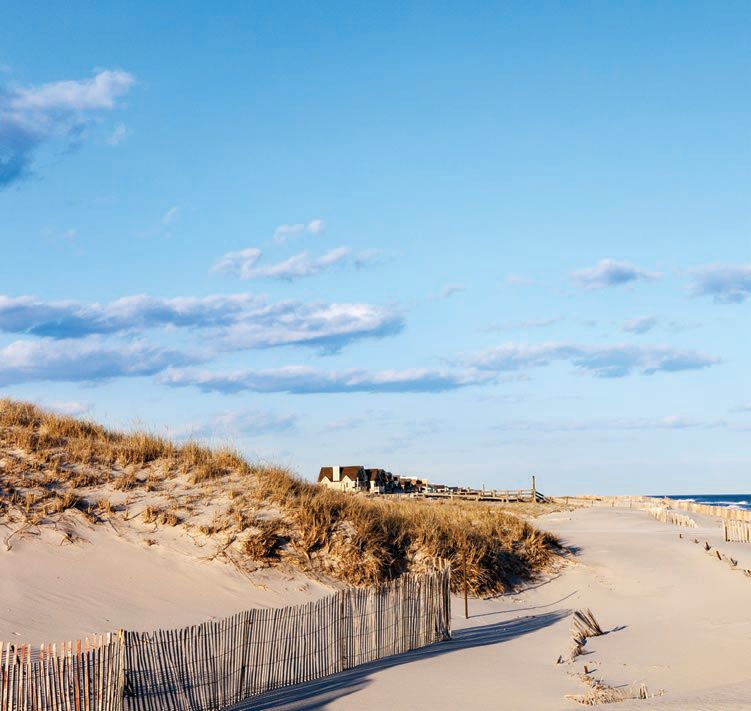 The famed Hamptons coastline PHOTO: BY MIKE REGA